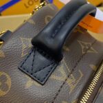 Louis Vuitton Palm Springs Mini M44873 Brown